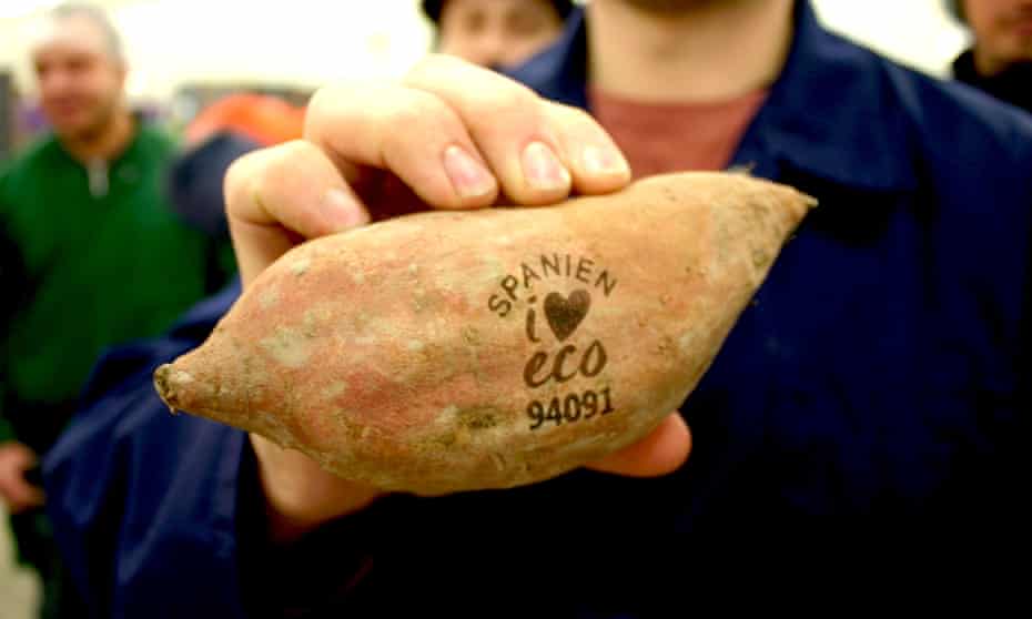 A sweet potato