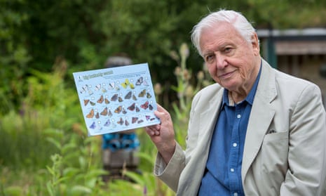 Sir David Attenborough launching the Big Butterfly Count in July 2017.