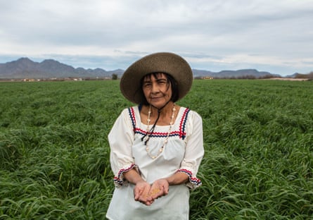Ramona Button started Ramona Farms in 1974 using her mother’s 10-acre allotment on the Gila River Indian Community.