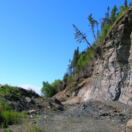 A quarry in Newfoundland, Canada, where the fossils were found.