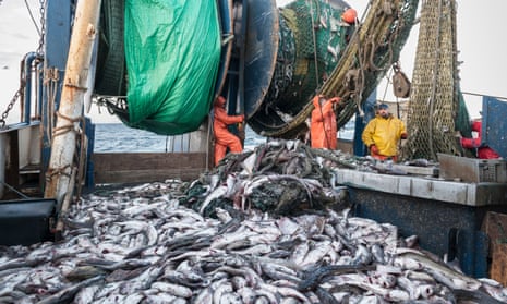 A trawler off the coast of Massachusetts, USA, empties its catch on to the deck.