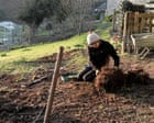 For the first time in my life I’m in charge of a garden. Is it too late to plant? | Ashe Davenport