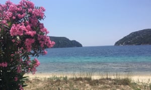 Porto Kuofo with sand and oleanders