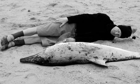 ‘Sublime self-dissolution’: Philip Hoare, on the beach in Provincetown, Massachusetts, with a dead dolphin