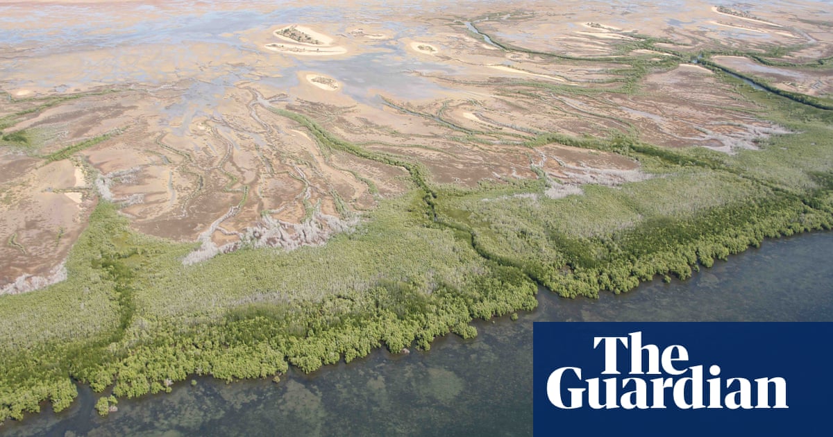 This is what climate change looks like in Australia in pictures Australia news The Guardian This is what climate change looks like in Australia in pictures Australia news The Guardian