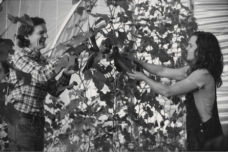 Two people smile with leaves