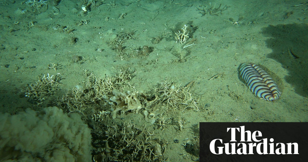 Deep Sea Microbes