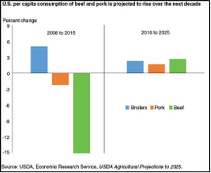 US per capita meat consumption projection