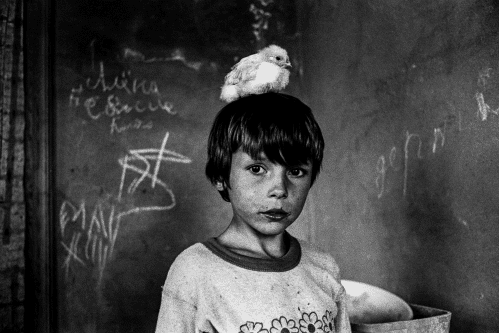A child with a chick on his head