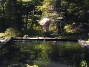 The Reflecting Pool, 1977-9 by Bill Viola.