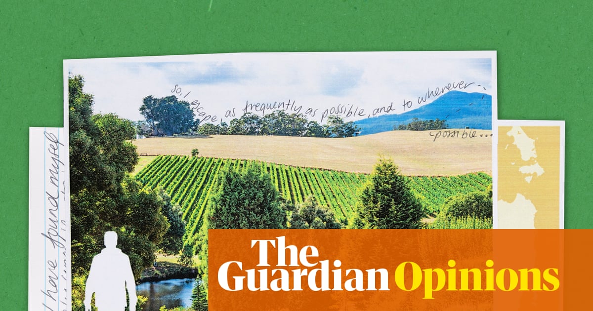 Tasmania’s Mount Arthur: a place awash with the true sort of quiet that soaks into your skin | Joseph Earp