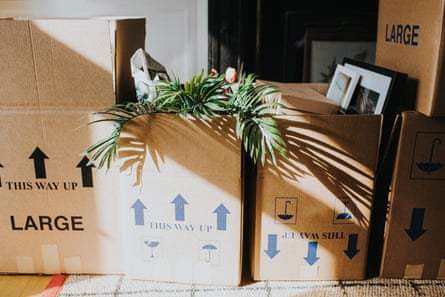 A row of cardboard boxes in a room during a house move.