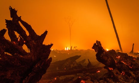 Forest fire in Indonesia