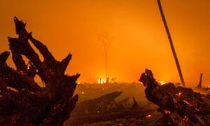 Indonesia forest fire