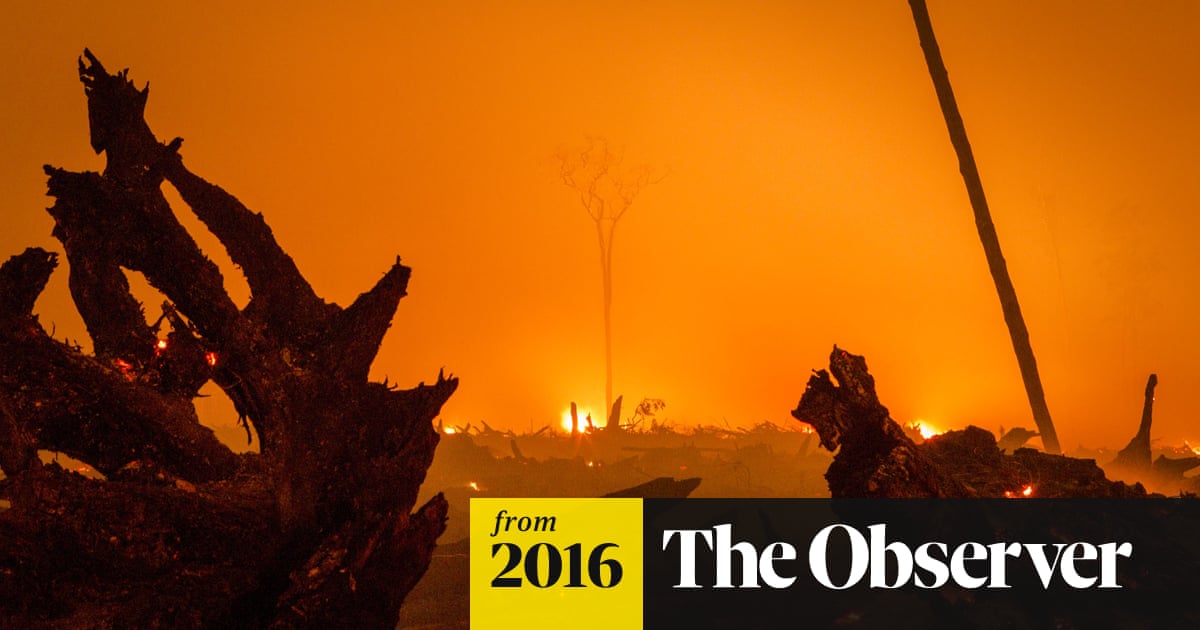 February was the warmest month in recorded history, climate experts say