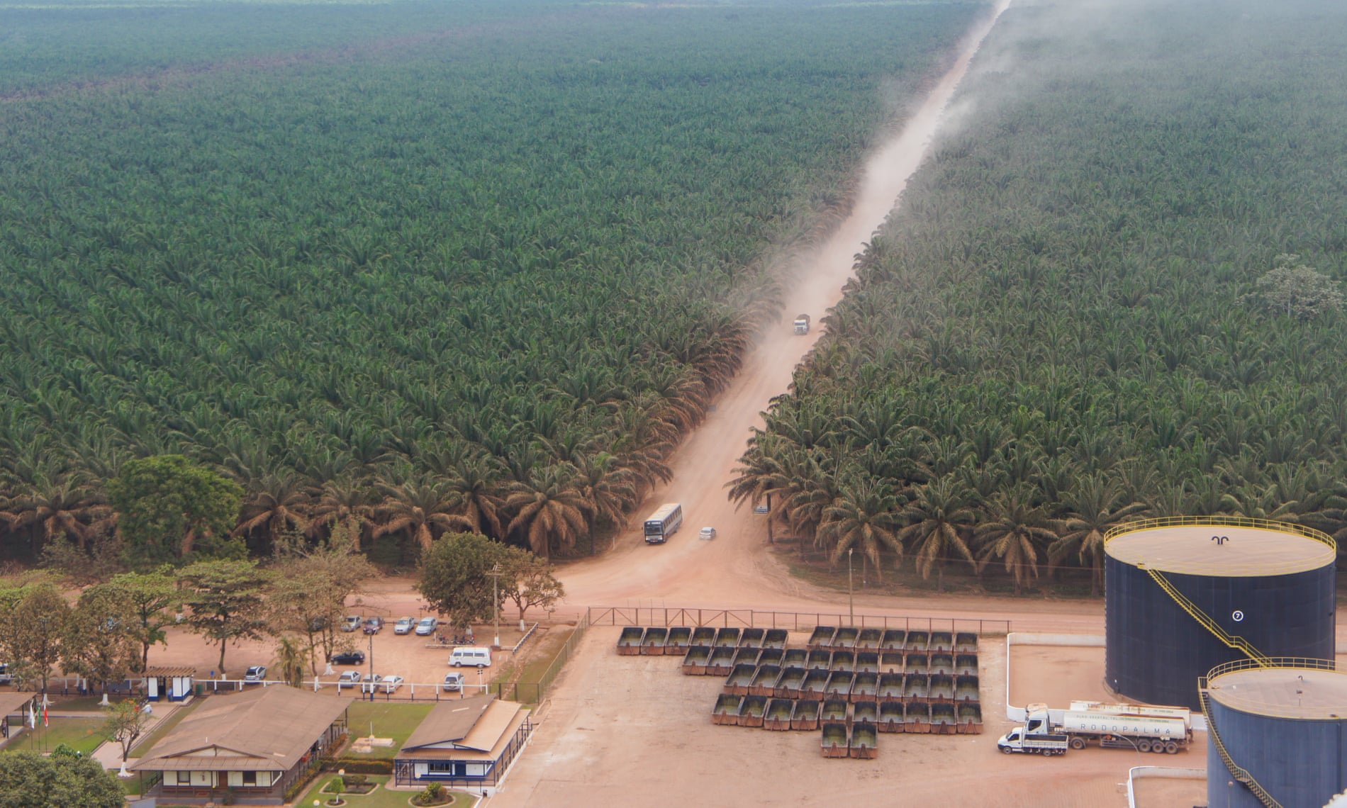 Agropalma oil palm plantation