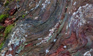 Bark - notice the little things