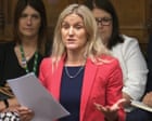 Assisted dying bill: how will it work and when will it come into effect?
