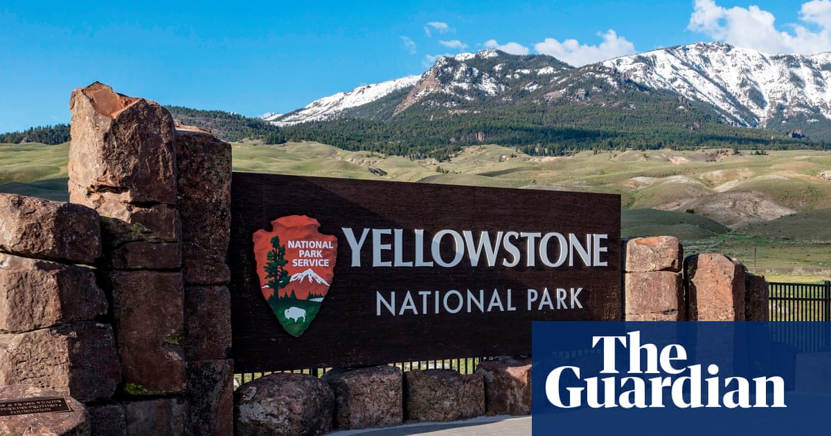 Yellowstone Bear Attack: Another Reason Why We Gotta Stay Ready Out Here