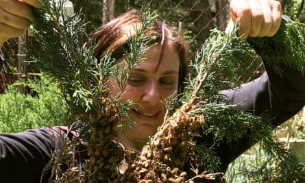 C Marina Marchese holding branches filled with bees.