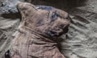 Dozens of cat mummies found in