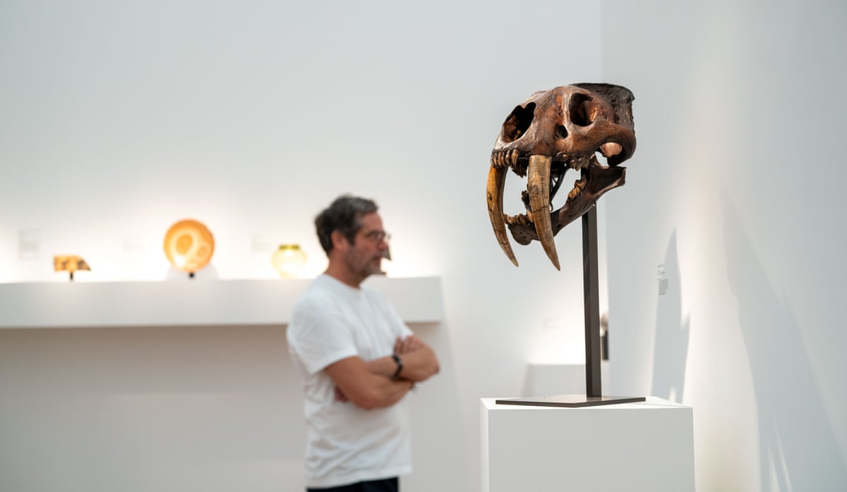 A skull for sale at Frieze Masters.