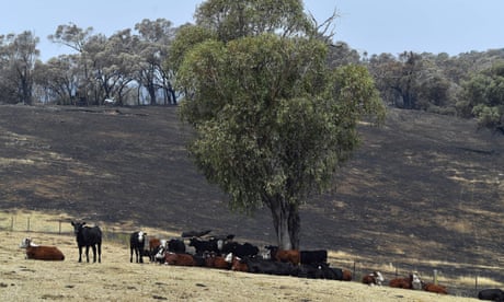 A farm in southern New South Wales
