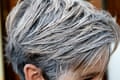 Closeup of grey hair