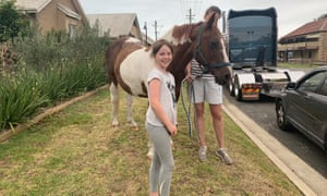 A young woman walks her horse past a queue of traffic so children can pat it