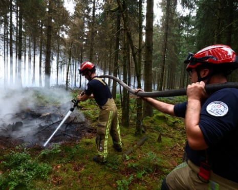 Belgian firefighters extinguish a wildfire in a forest in Waimes, Belgium.