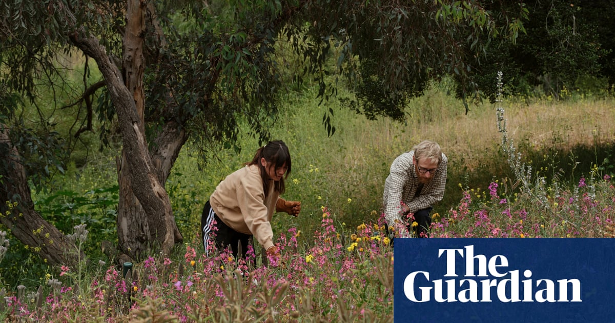 California gardeners plant native species in parks to prevent wildfire spread – in pictures California gardeners plant native species in parks to prevent wildfire spread – in pictures