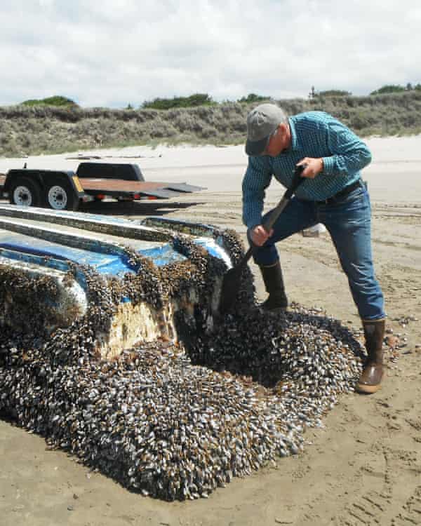 John Chapman inspects a Japanese ship that washed up on Long Beach, Washington