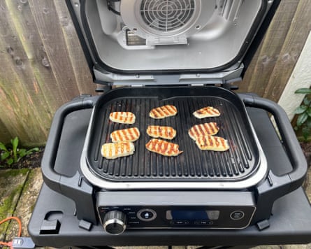 Ninja Woodfire electric BBQ grill & smoker.