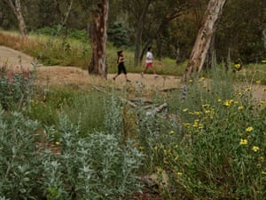 Two people run on a path in a park