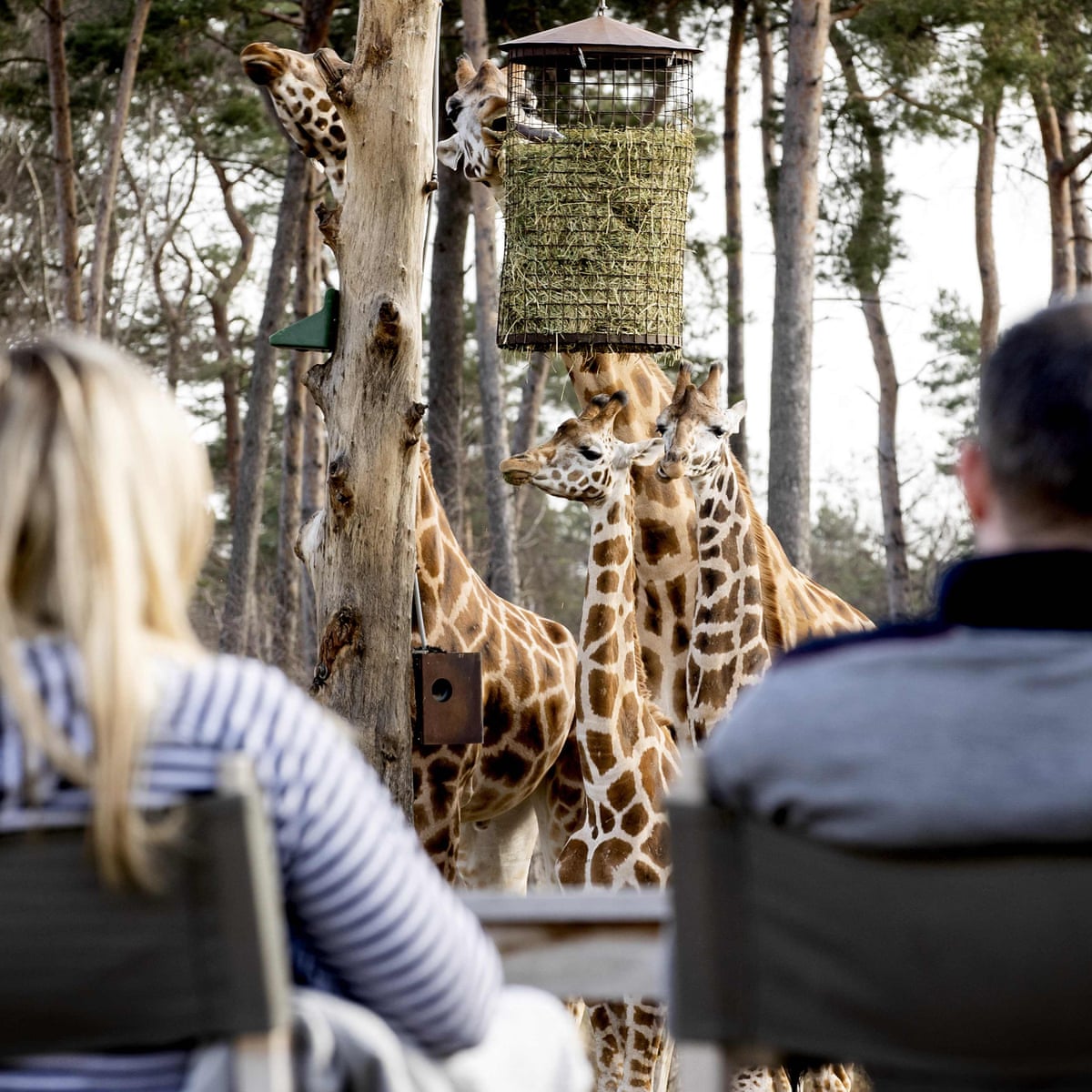 Long Haul Bookings Surge For 2022 After Summer Travel Chaos Travel The Guardian Waddington North America Holiday Promotions 2022