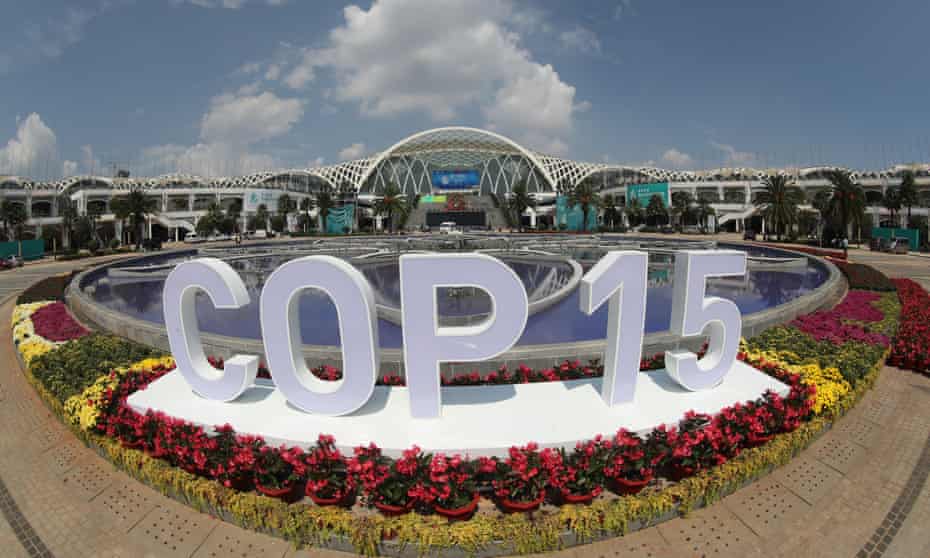 A view of the Cop15 preparations in Kunming, China