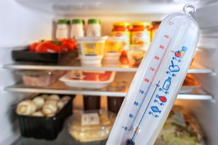 A fridge thermometer is front of a fridge