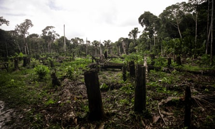 Deforestation in the Colombian Amazon in March.