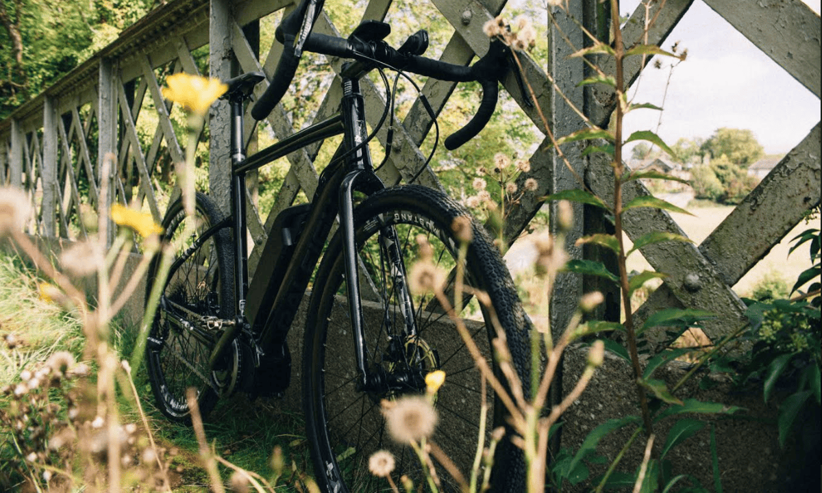 Raleigh Mustang Comp Electric review A go anywhere do anything bike Technology The Guardian