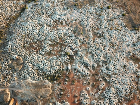 An aerial view of the area surrounding White Cliffs. The unique topography created by the multitude of craters is often compared to a moonscape