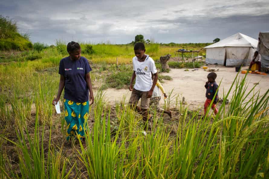 Clara Edna Chevambo and her children walk through a small rice plantation opposite her tent in the Savane camp in central Mozambique