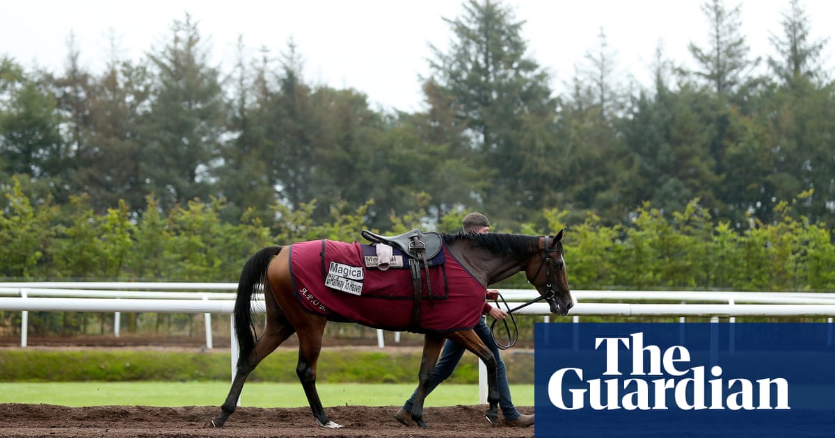 Talking Horses: Madhmoon ‘in great shape’ for Champion Stakes trial run | Tony Paley