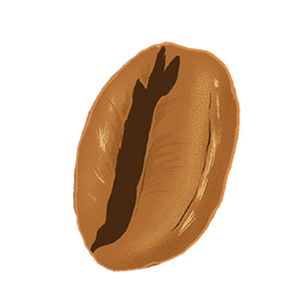 Image of a single coffee bean