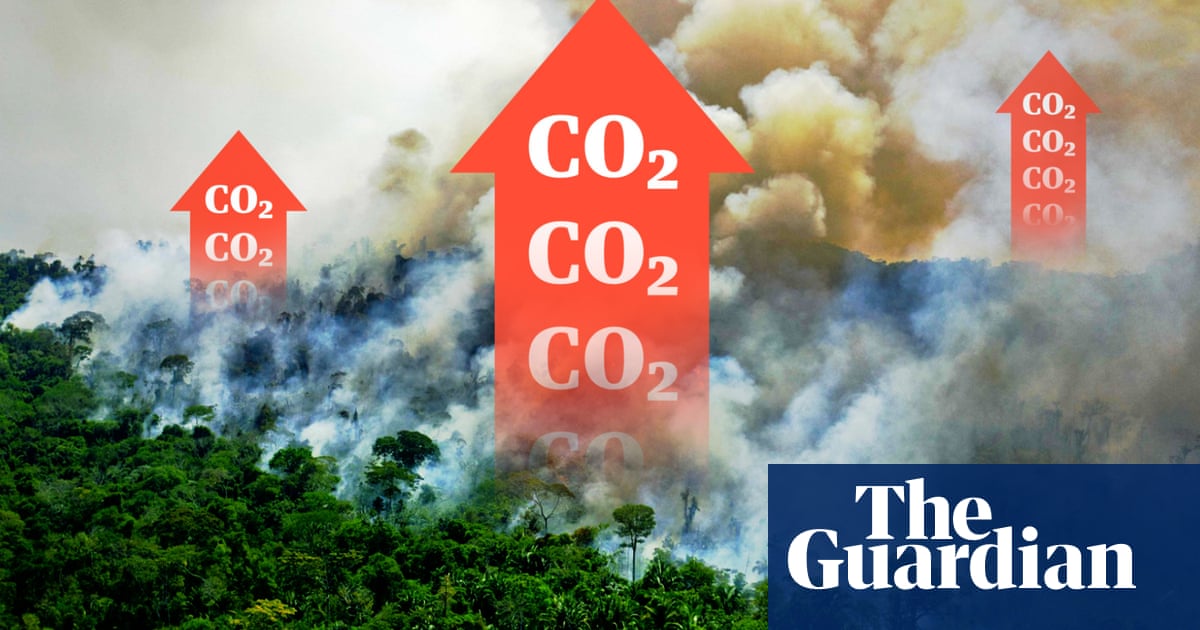 How Brazil’s Amazon started heating the planet – video