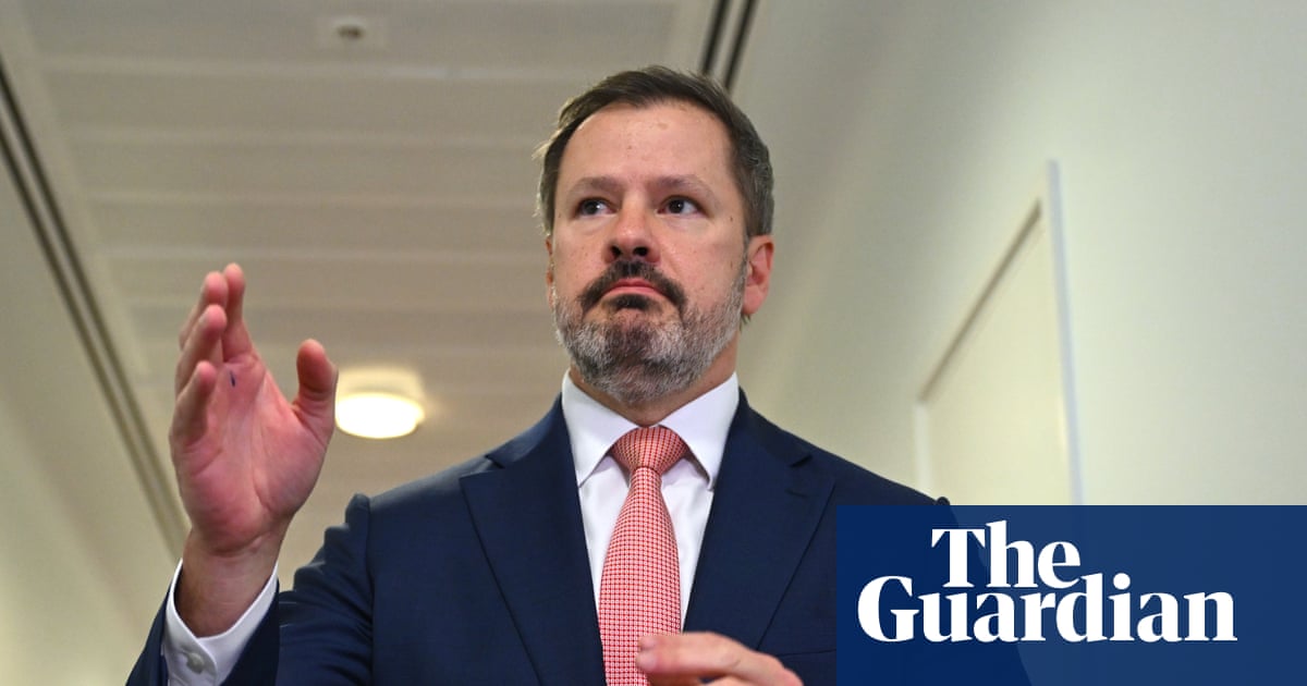 Husic says Labor ‘allergic to dissent’ as he breaks ranks on key government positions at party conference