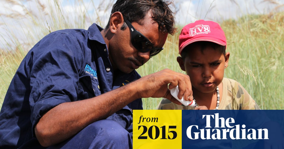 Indigenous Rangers Call For Expansion Of World Leading Jobs Scheme Green Jobs The Guardian