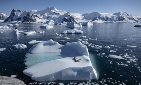 Floating ice in Antarctica