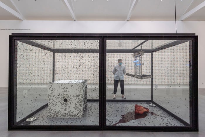 Damien Hirst A Thousand Years damien-hirst-a-thousand-years