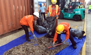 Vietnamese officials sort seized pangolin scales at a port in southern Vietnam in 2019.