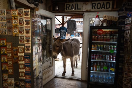 A donkey peeks into a souvenir shop